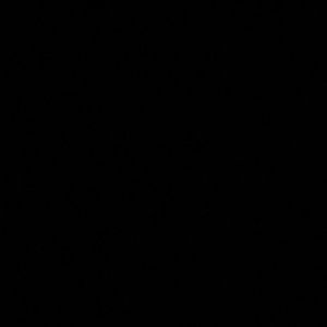 Meet your Posher, Ray